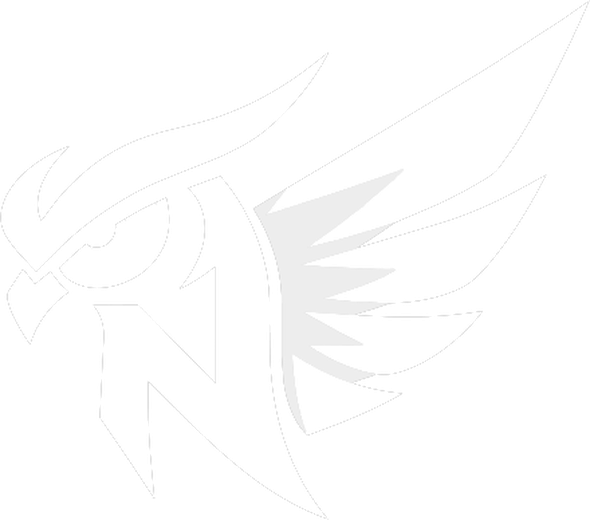 Nocta Esports